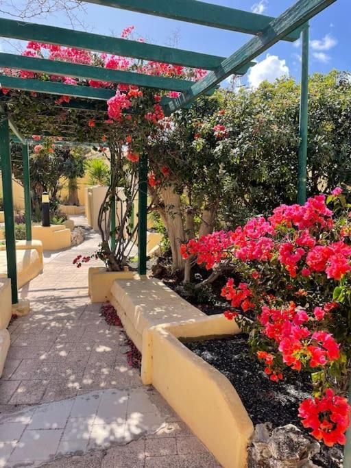 Fuertevilla Costa Calma Dış mekan fotoğraf