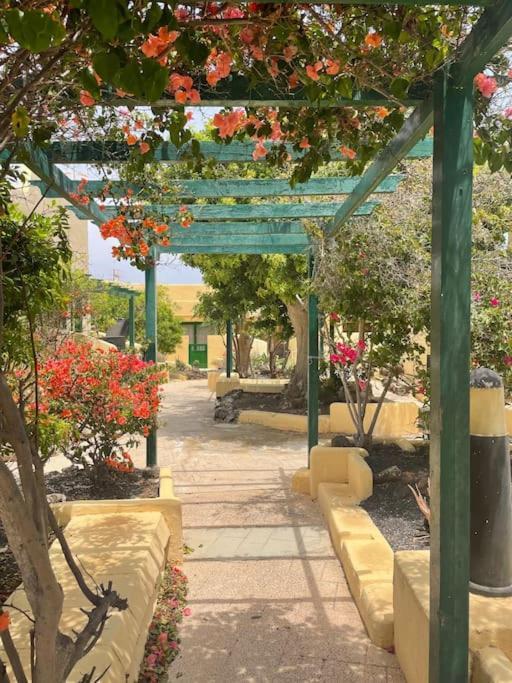 Fuertevilla Costa Calma Dış mekan fotoğraf