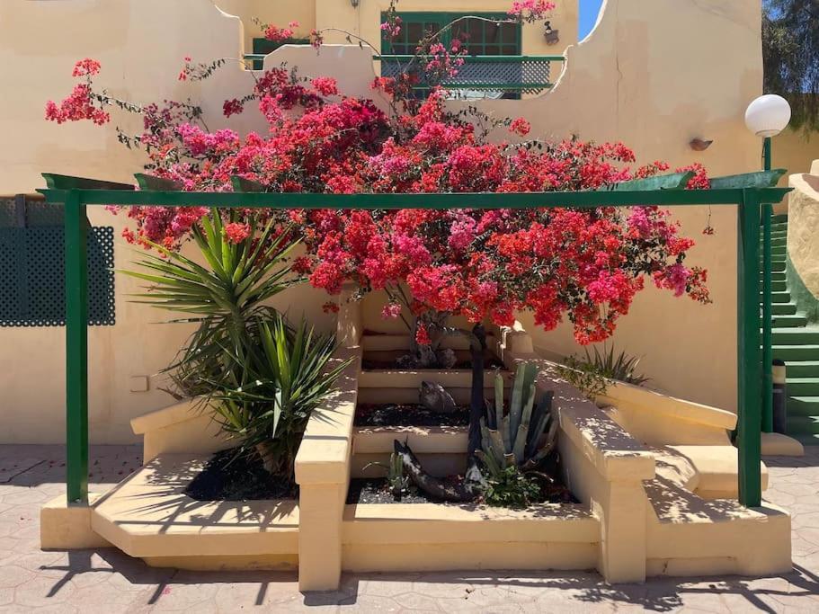 Fuertevilla Costa Calma Dış mekan fotoğraf