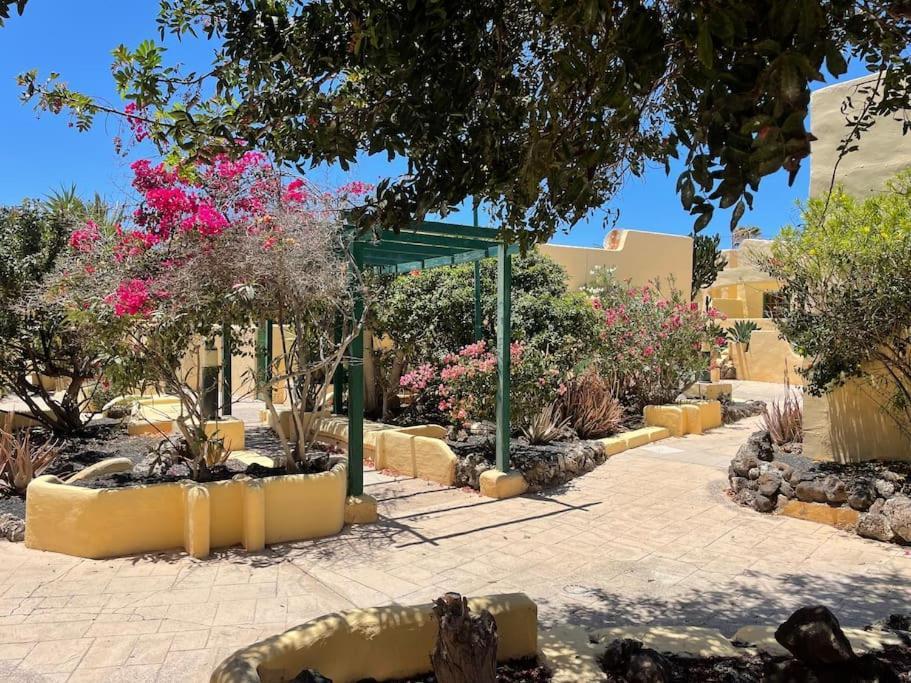 Fuertevilla Costa Calma Dış mekan fotoğraf